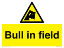 bull-in-field~